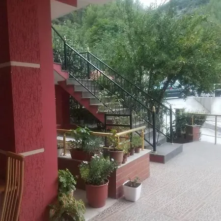 Flora Апартаменты
